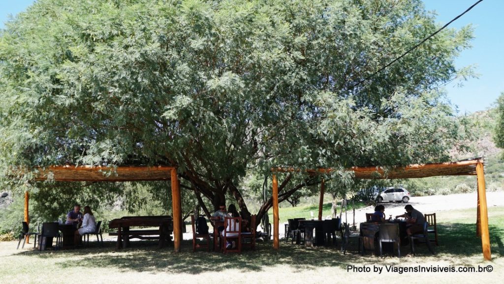 Aprazível local de degustação, Vinícola Domingo Molina, Cafayate, Salta, Argentina