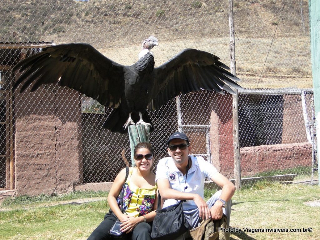 Um condor e nós, Pisac, Peru