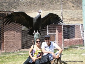 Um condor e nós, Pisac, Peru