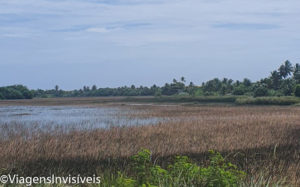 Lagoa em Itacimirim, Bahia-2