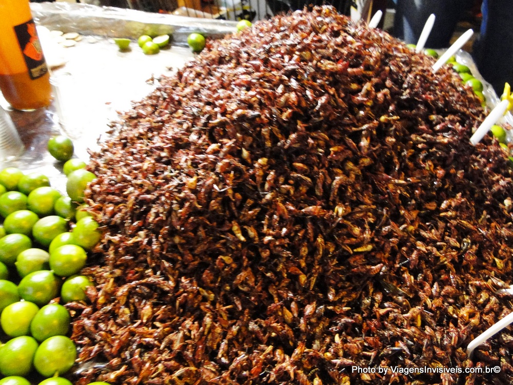 Grilos apetitosos, México