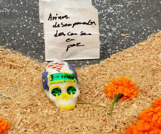 O dia dos Zumbis, viagens invisiveis (18)