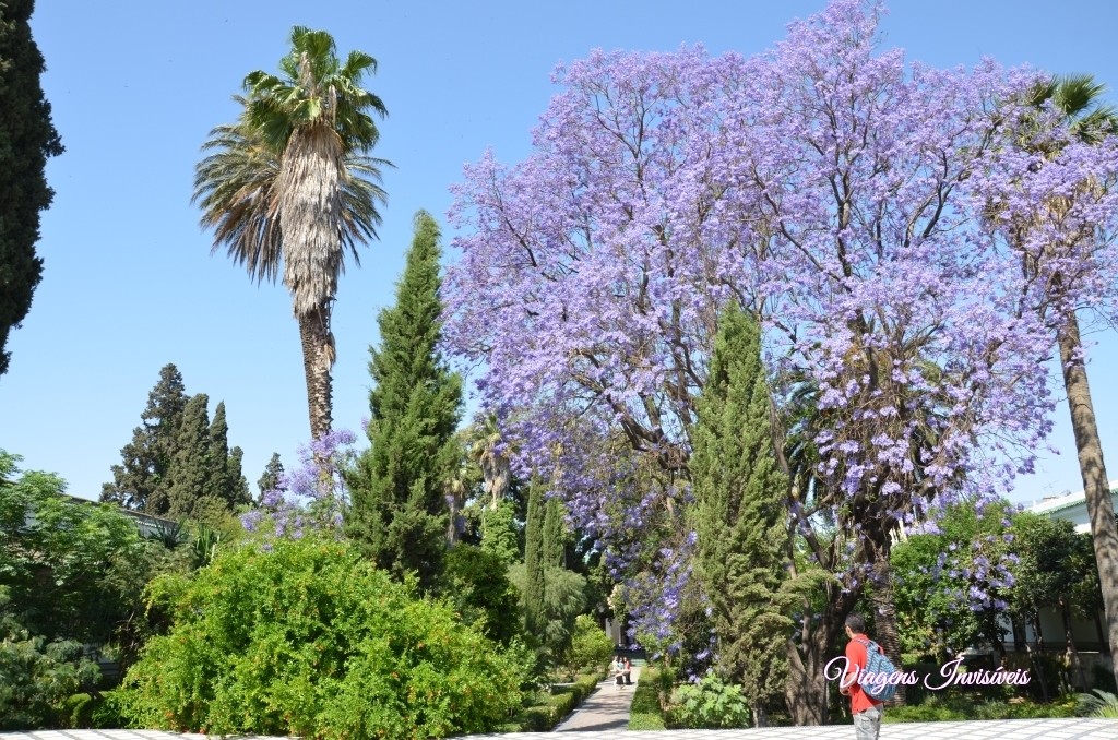 Jardim Espetacular de Dar Bartha