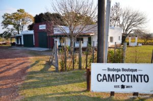 bodega, pousada campotinto, carmelo, uruguai