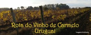 Rota do Vinho de Carmelo