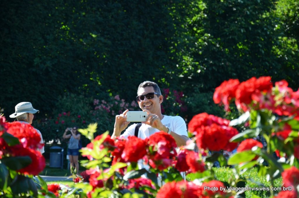 Jardim de Rosas, Volksgarten, Viena, Áustria