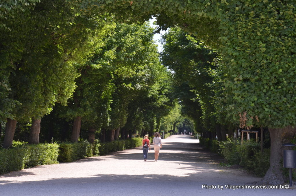 Quase uma floresta, Schloss Schonbrunn, Viena Áustria