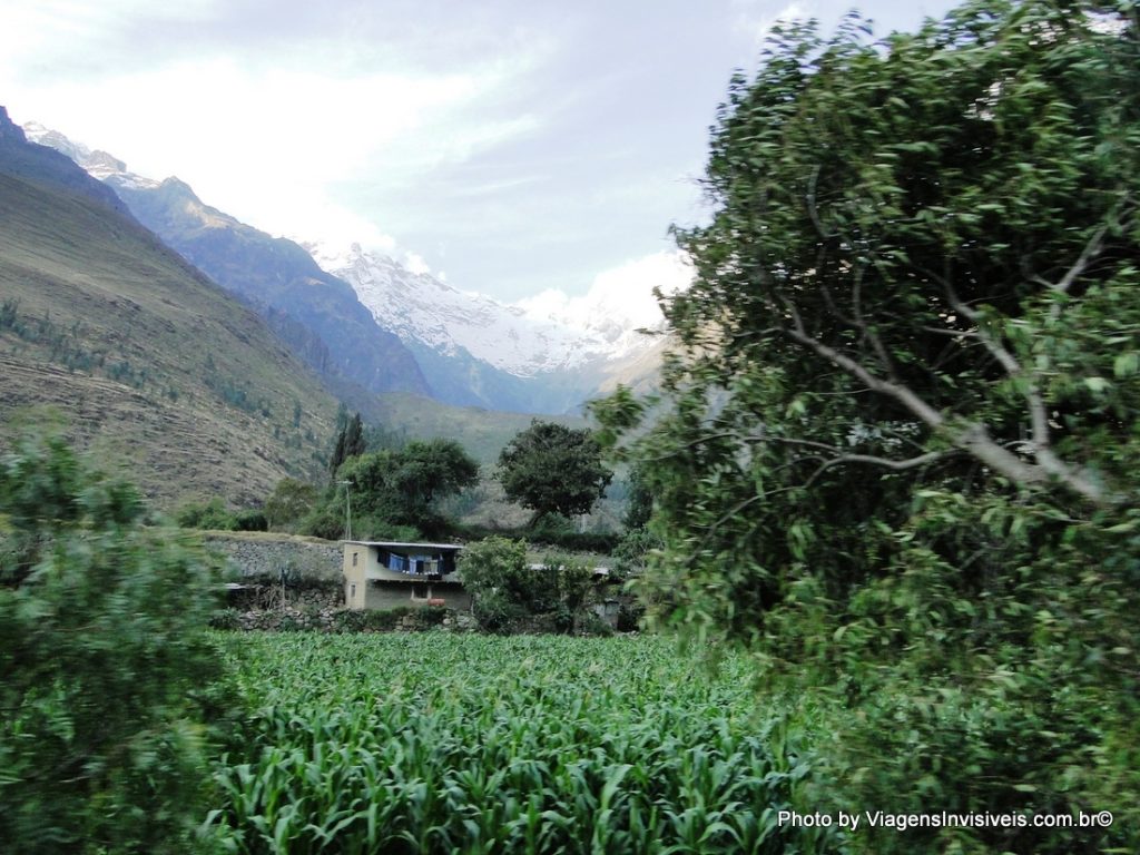 Área rural vista do trem, Peru