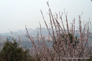 Telhados da cidade proibida, Pequim, China