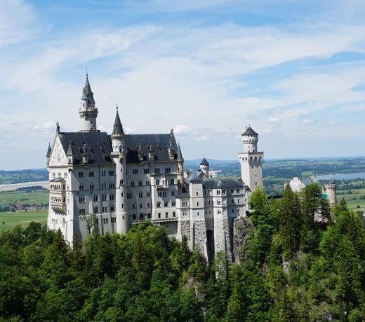 O castelo da cinderela, Neusch