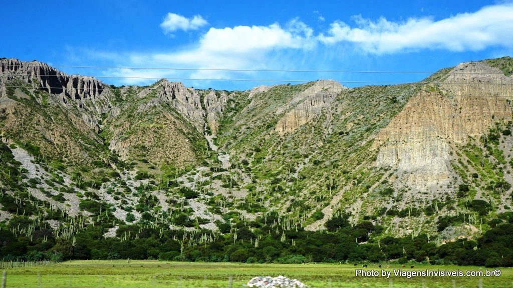O caminho extraordinário da Cuesta de Lipán, um jardim de cactos, Jujuy, Argentina