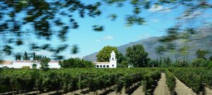 Rota dos vinhos de Cafayate,