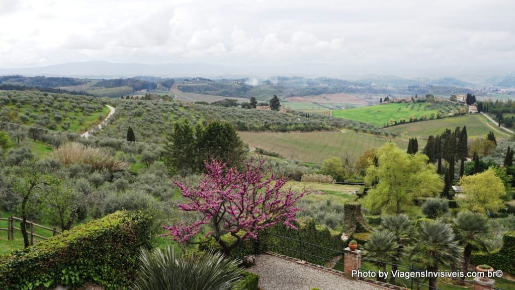 Acordar e ver as oliveiras de Poggibonsi na Rota do Chianti, Itália