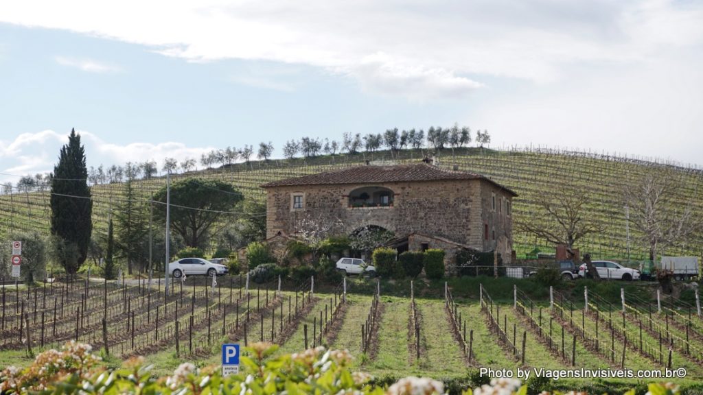 Eu vejo vinhedos por toda parte, o tempo todo, rota do Chianti, Toscana
