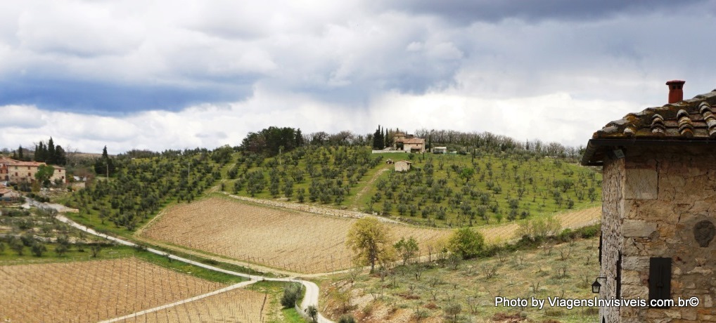 Vista dos parrerais da Castelo di Ama, rota do Chianti, Itália