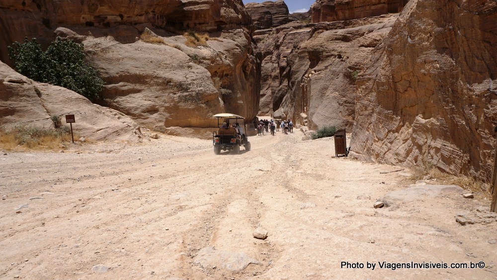 Camelos e cavalos em Petra