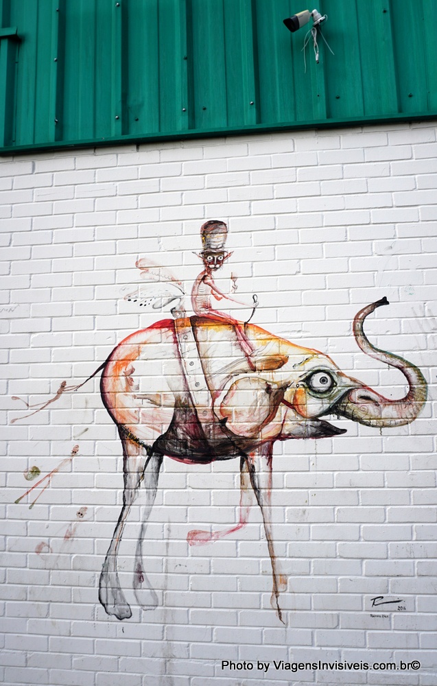 Um gato foge, Nova Orleans